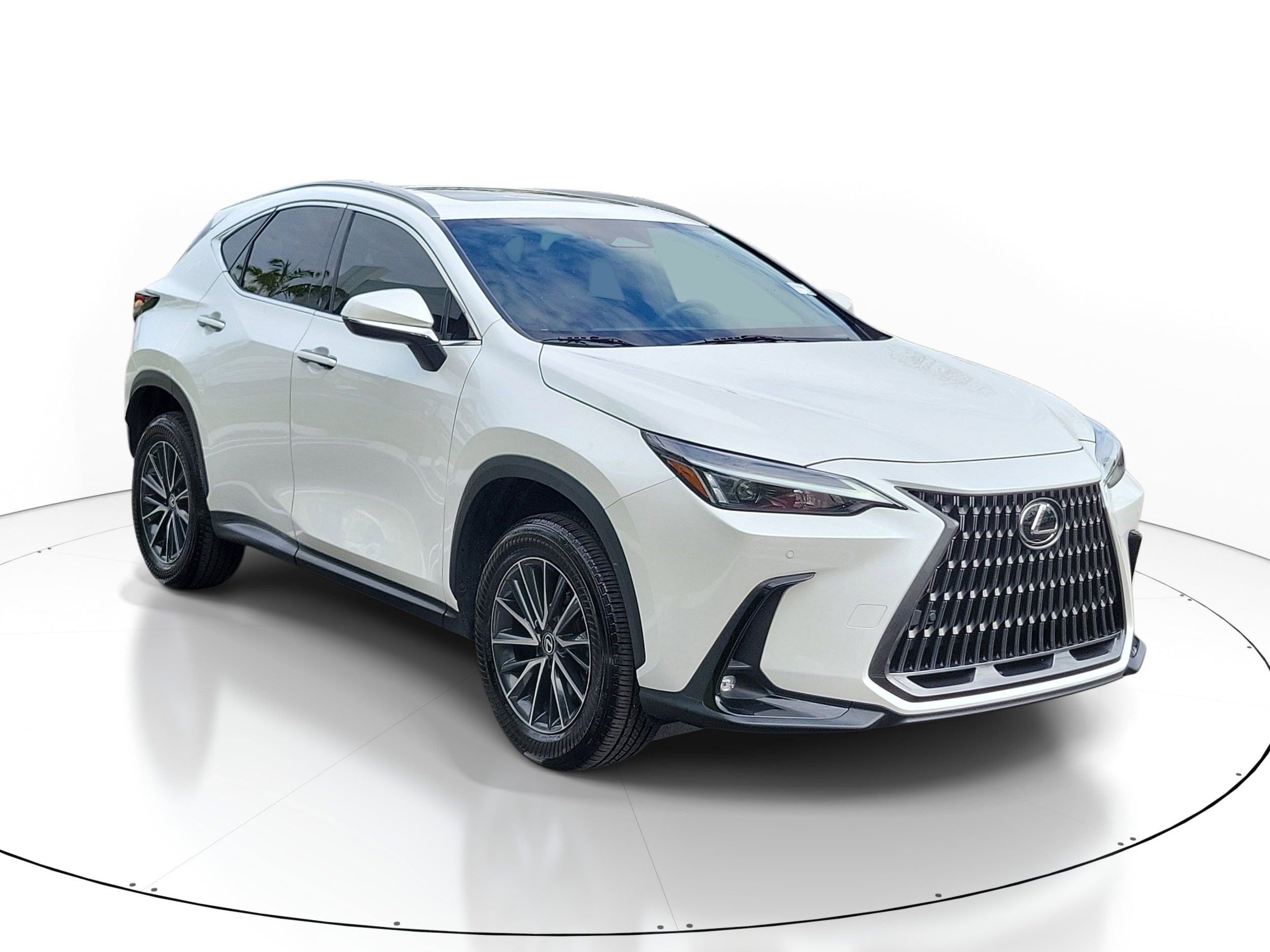 2024 Lexus NX