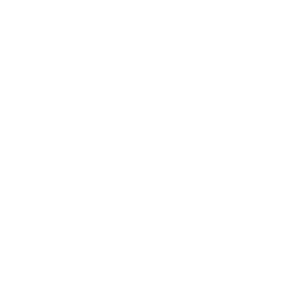 VW Logo