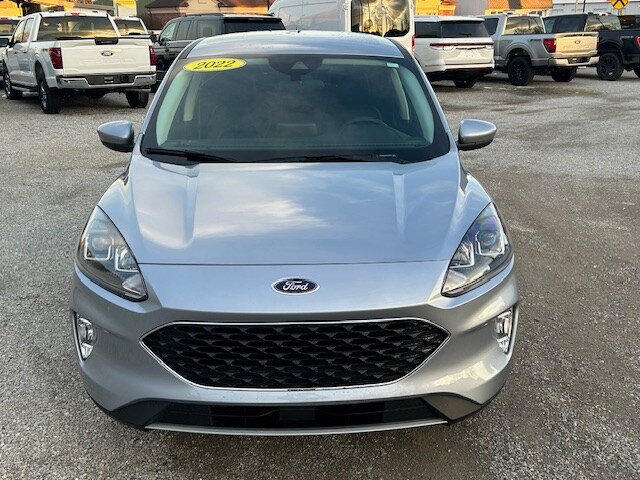 2022 Ford Escape SEL photo 4