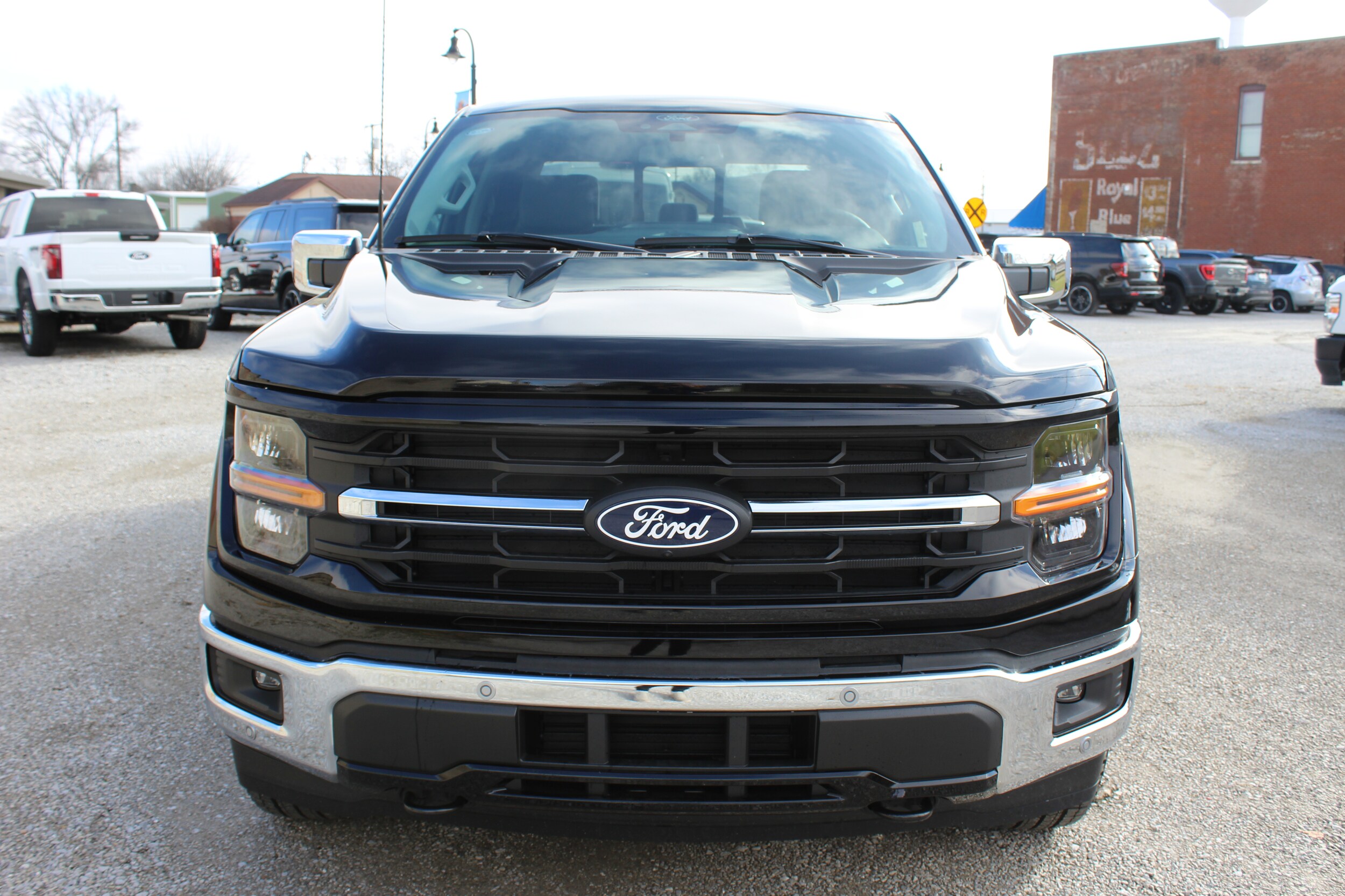 2024 Ford F-150 XLT photo 4
