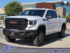 2026 GMC Sierra 1500 AT4X Truck