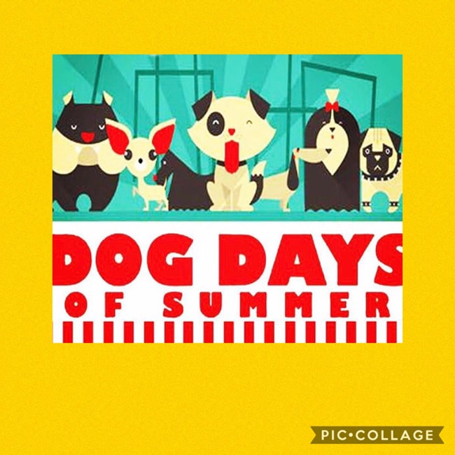 Dog Days of Summer