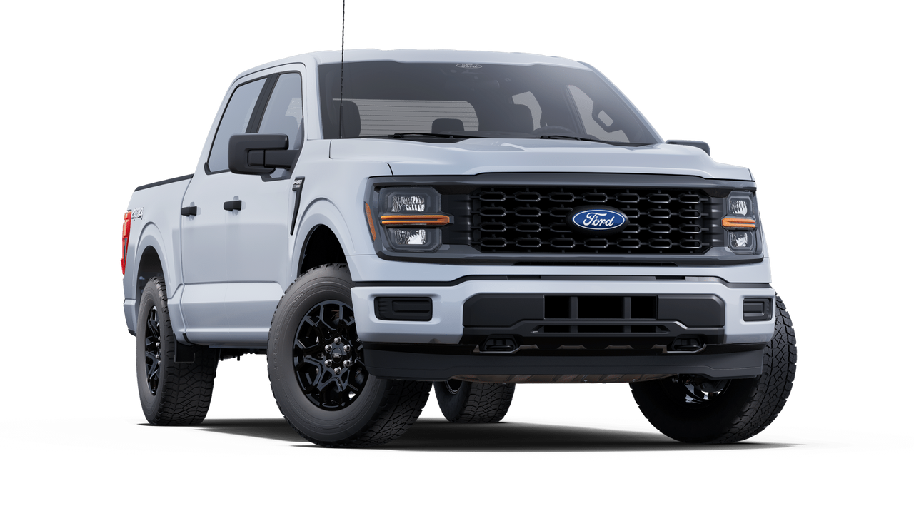 2025 Ford F-150 STX photo 3