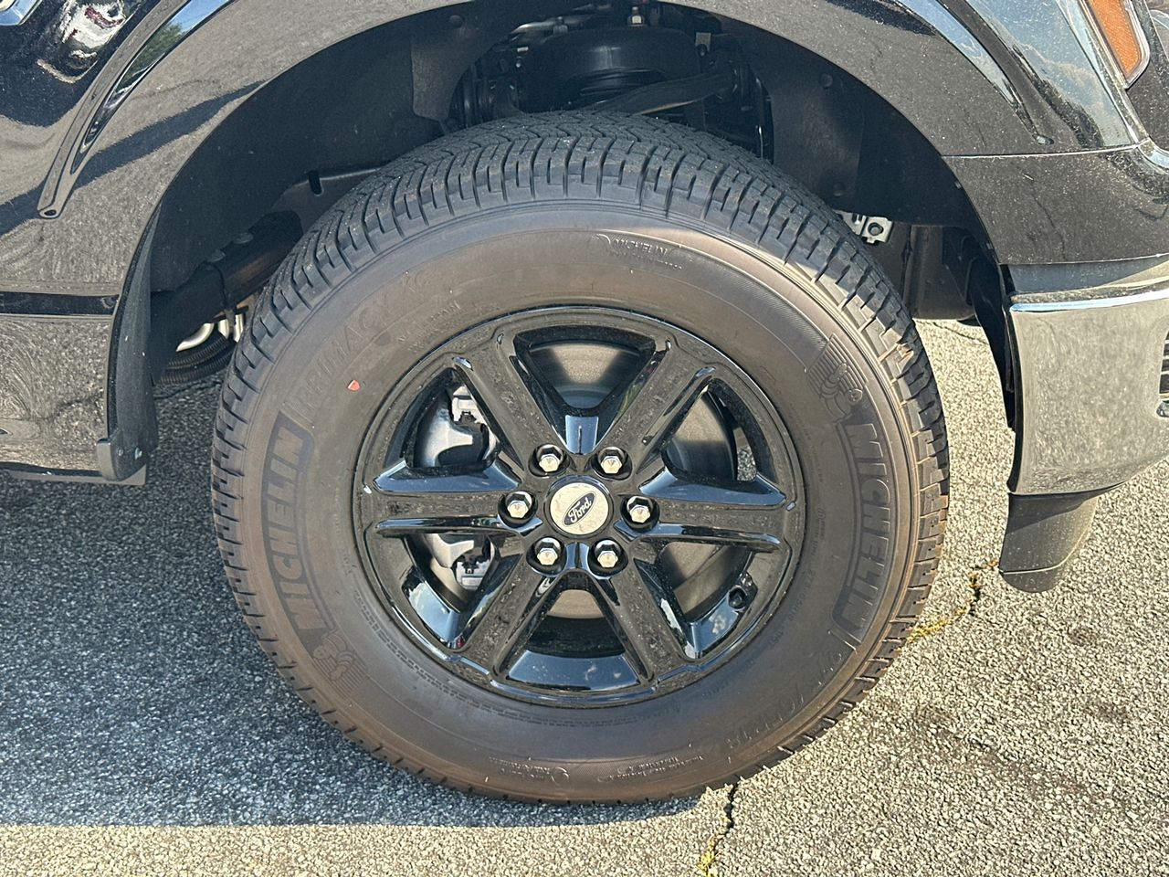 2025 Ford F-150 XLT - Photo 12