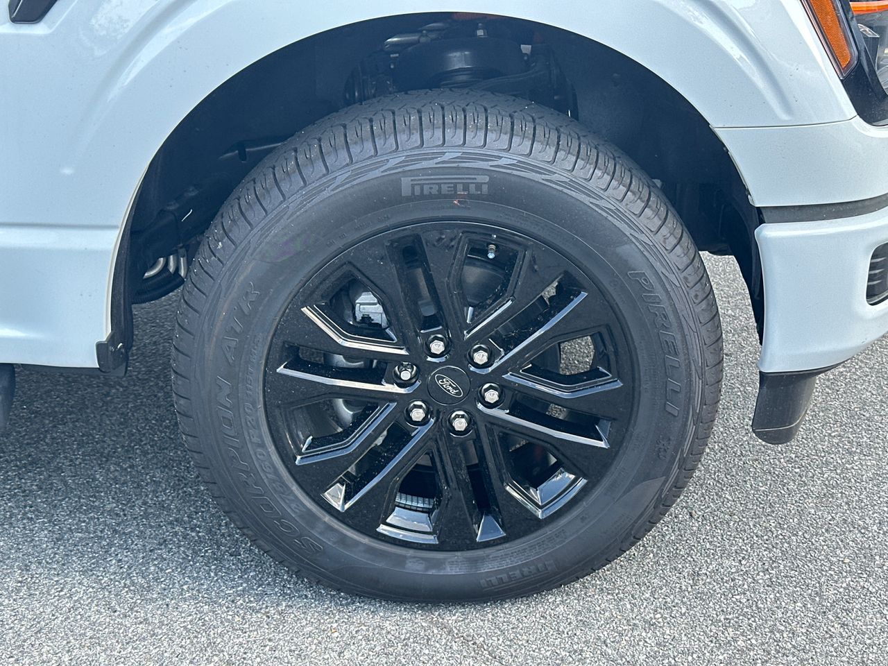 2025 Ford F-150 XLT - Photo 12
