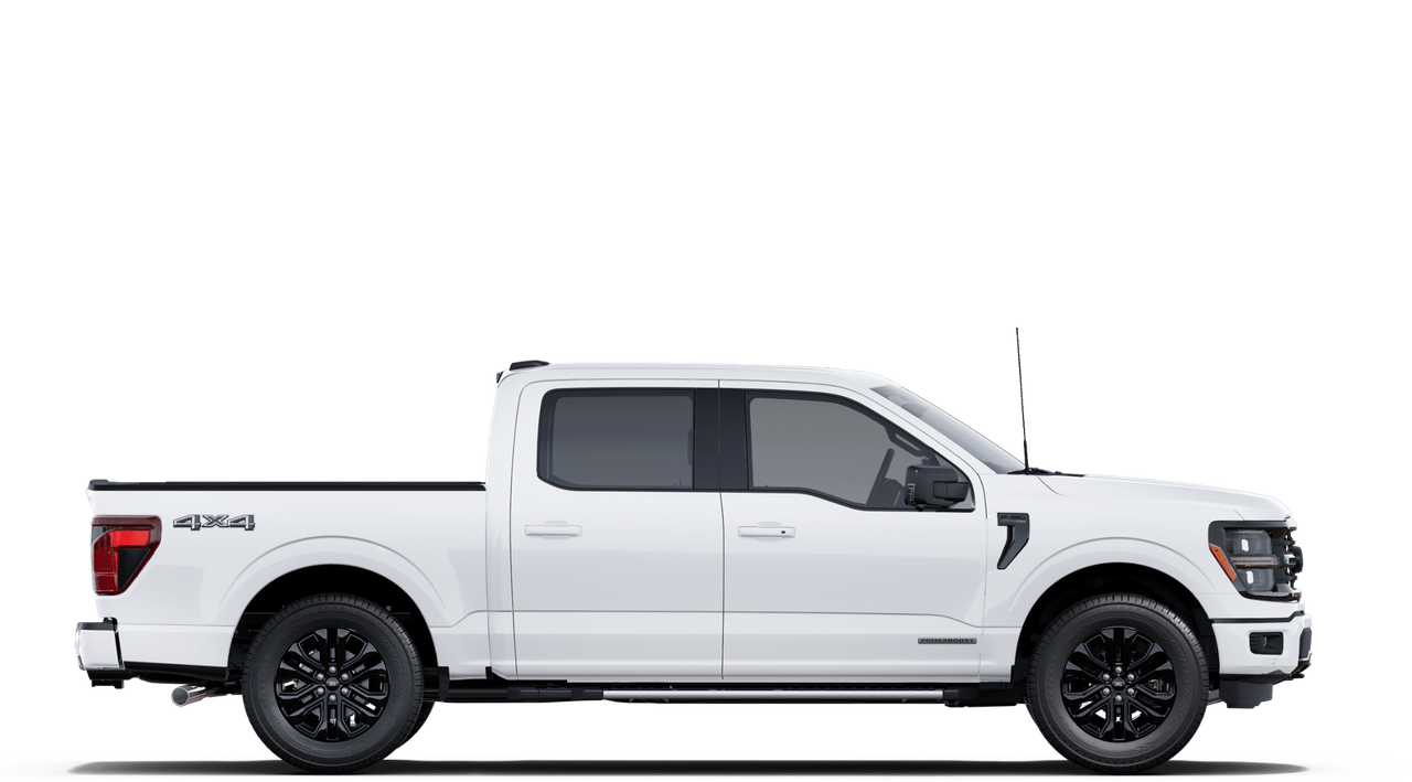 2025 Ford F-150 XLT - Photo 5