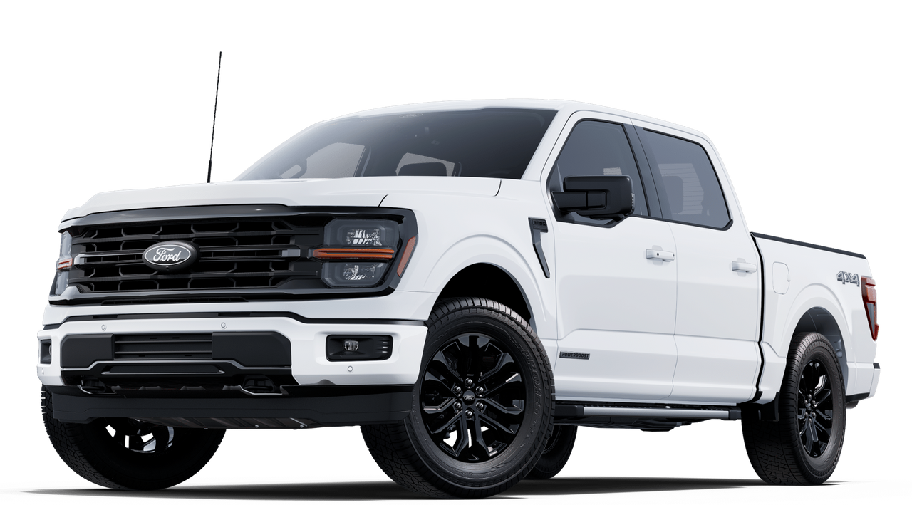 2025 Ford F-150 XLT's photo