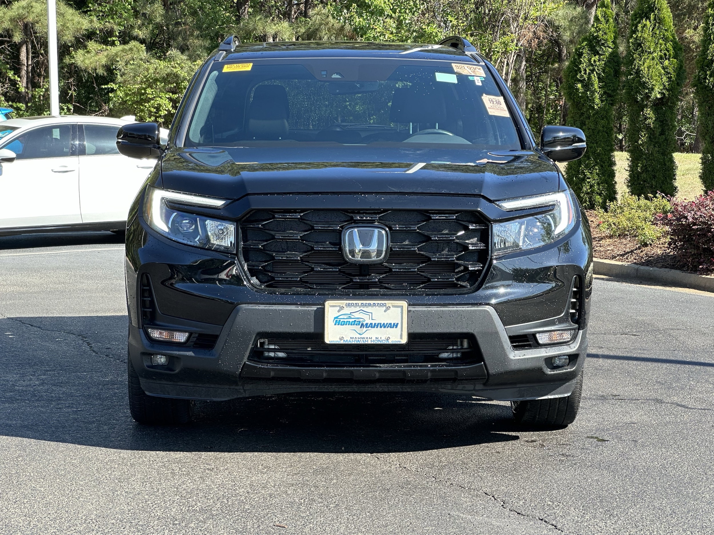 2023 Honda Passport Elite AWD photo 3