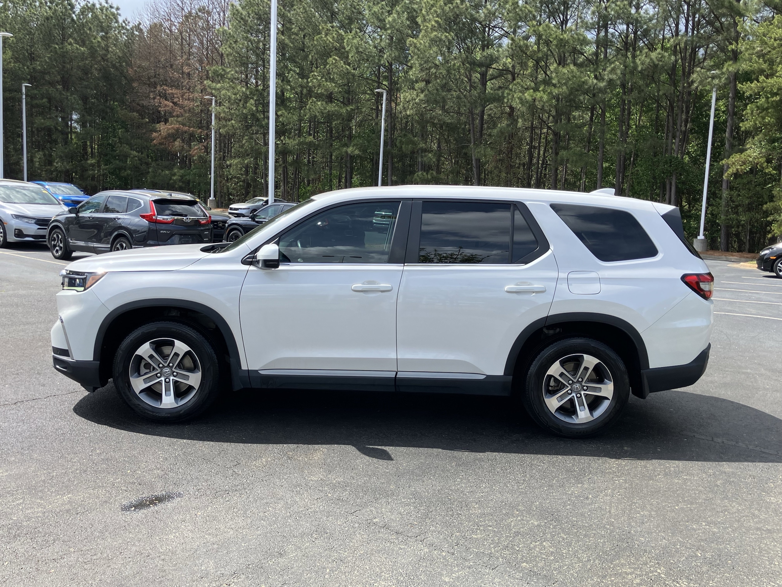 2025 Honda Pilot EX-L 2WD photo 6