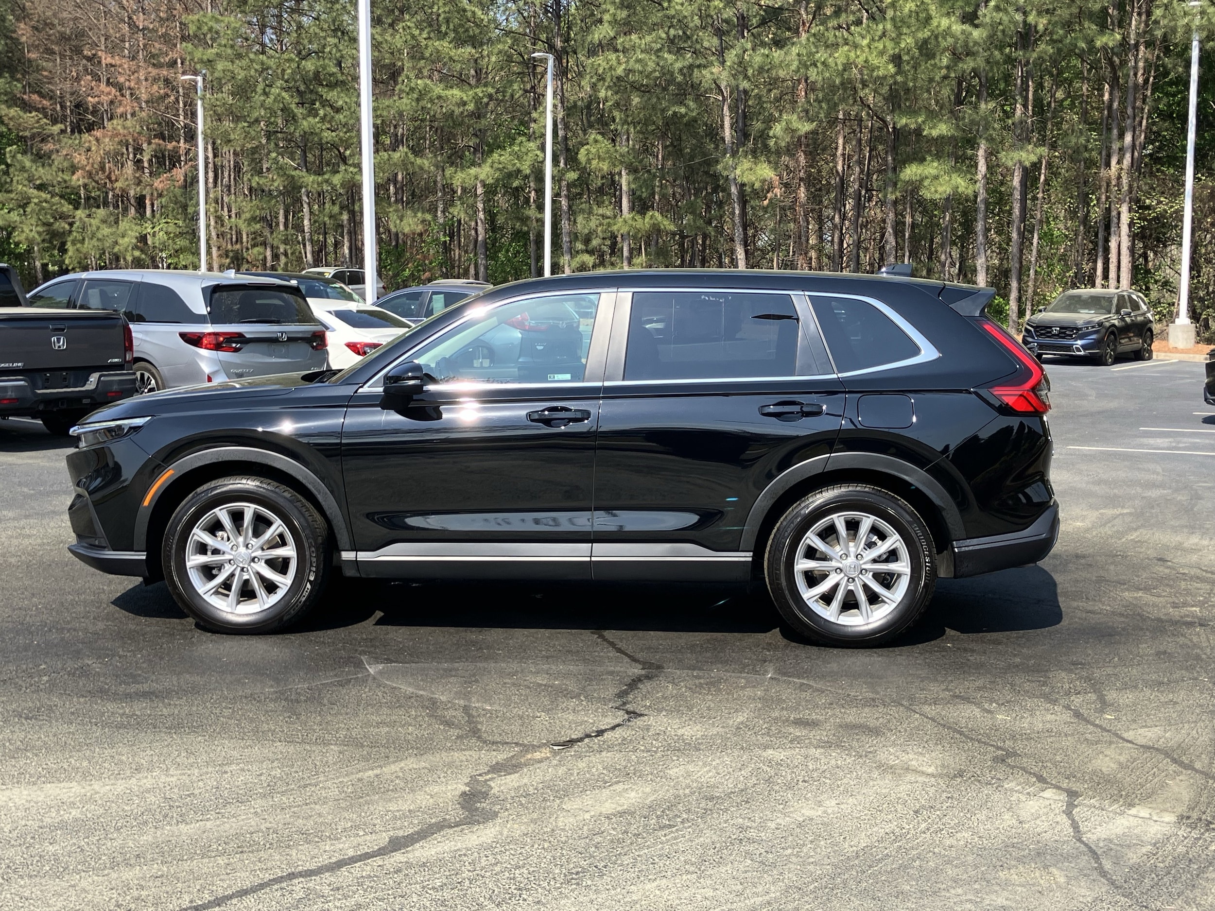 2025 Honda CR-V EX-L AWD photo 5