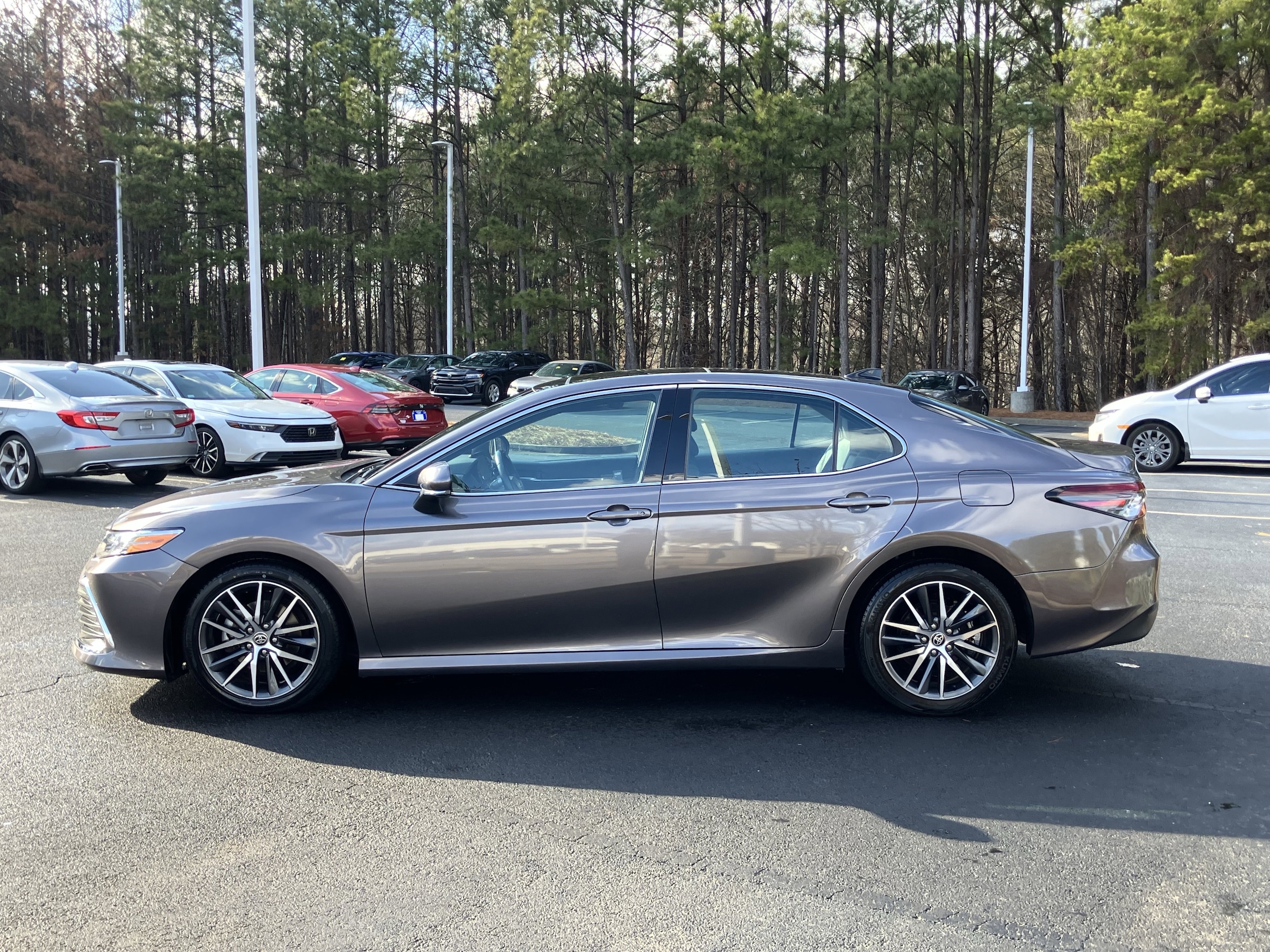 2023 Toyota Camry XLE V6 Auto photo 6