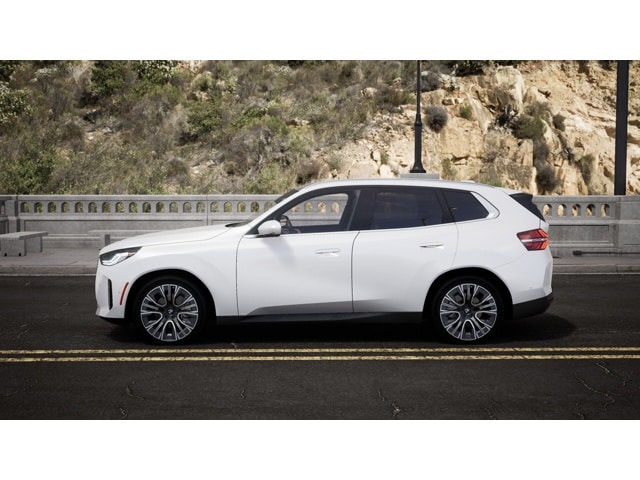 2025 BMW X3 30 - Photo 29