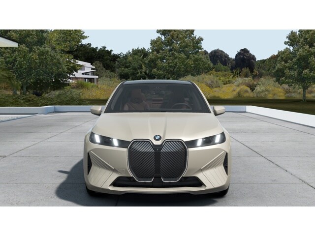 2026 Bmw iX photo 3