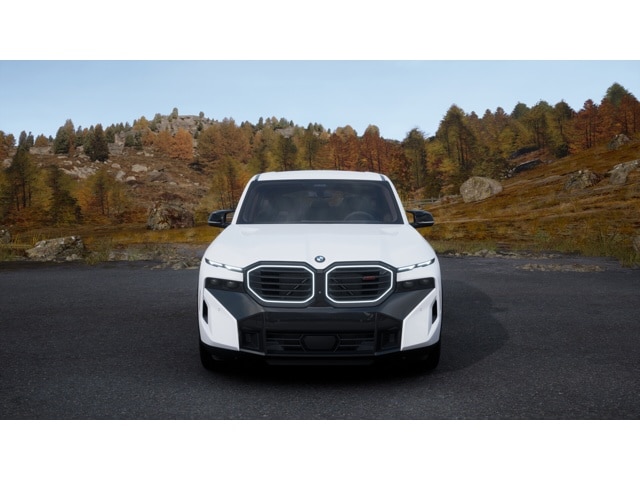 2026 BMW XM Base - Photo 36