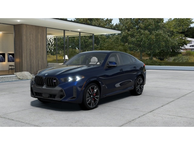 2026 BMW X6