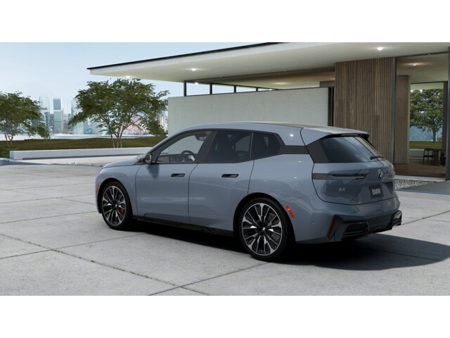 2026 Bmw iX photo 2