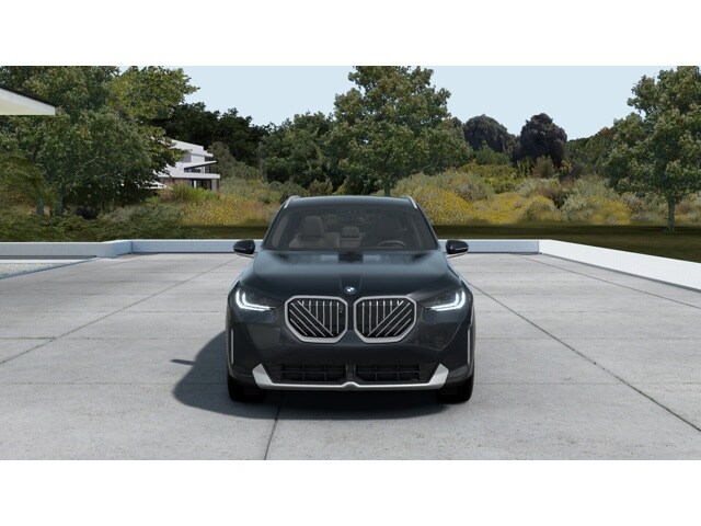 2025 Bmw X3 30x Drive photo 3