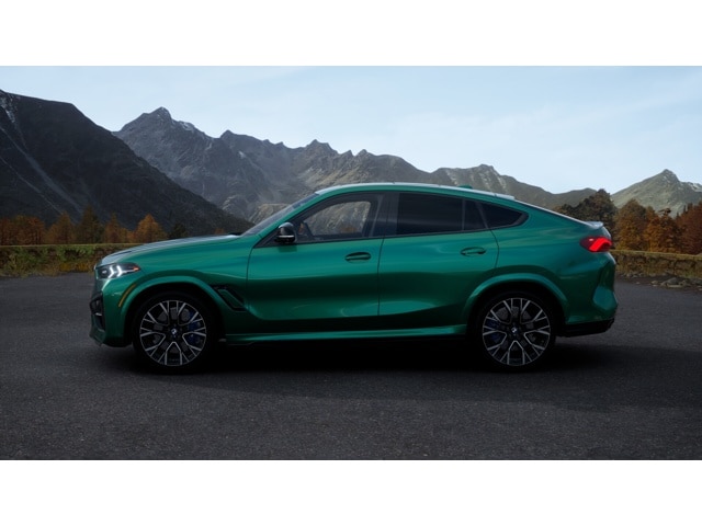 2026 BMW X6 M X6 M - Photo 40