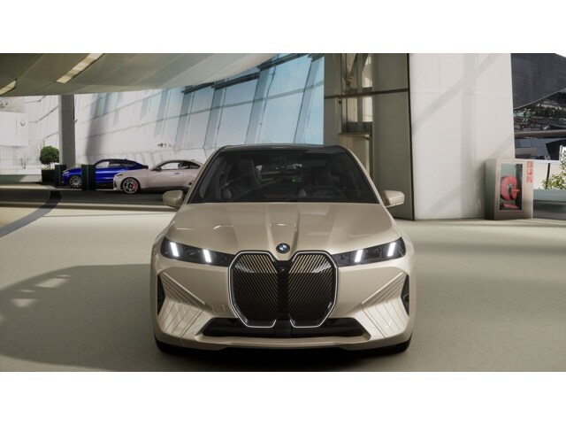 2026 Bmw iX photo 3
