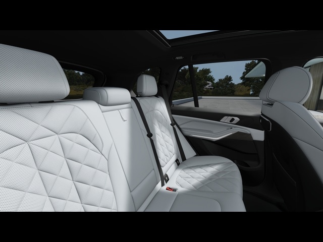 2025 BMW X5 50e - Photo 38