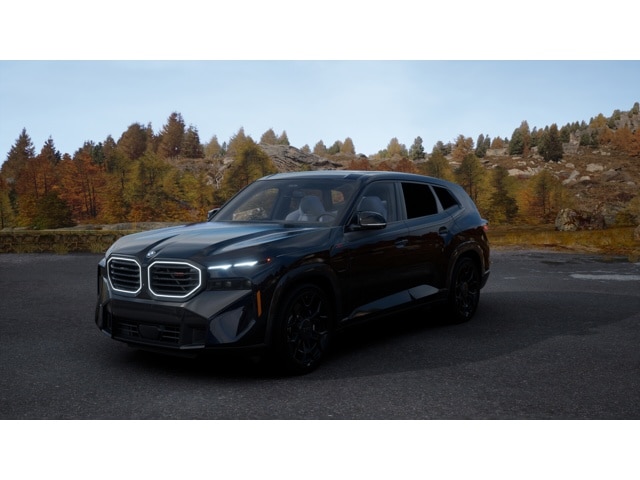 2026 BMW XM Base - Photo 24