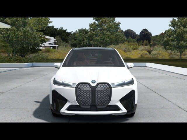 2025 Bmw iX photo 3