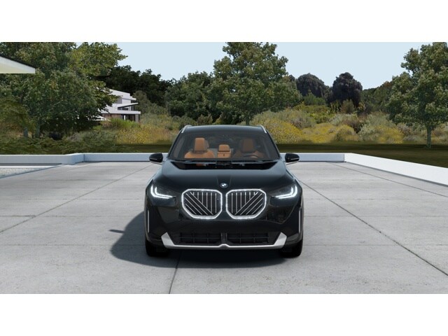 2025 Bmw X3 30x Drive photo 3