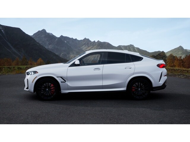 2026 Bmw X6 photo 4