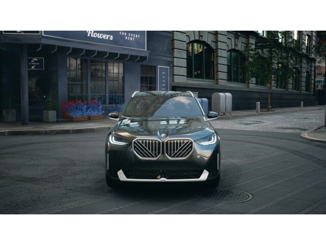 2025 Bmw X3 30x Drive photo 3