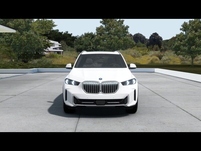 2025 Bmw X5 xDrive50e photo 3