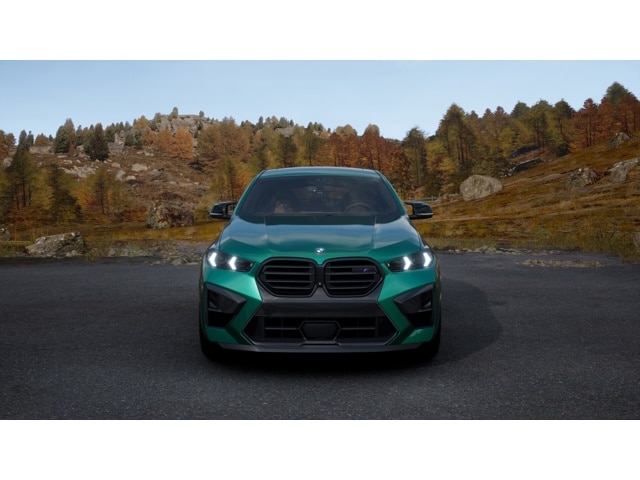2026 BMW X6 M X6 M - Photo 39