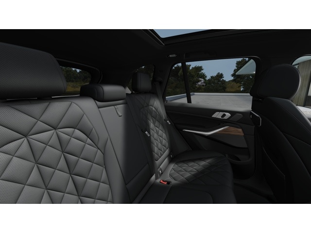 2026 BMW X5 50e - Photo 45