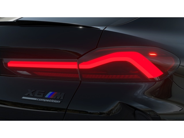 2026 BMW X6 M X6 M - Photo 31