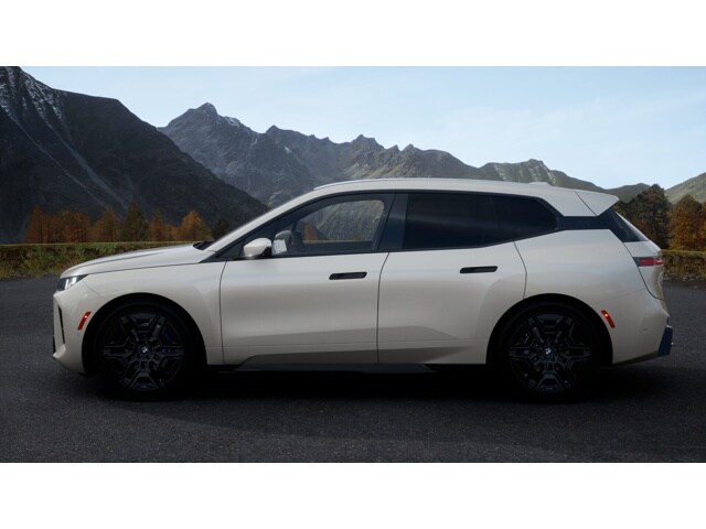 2026 Bmw iX photo 4