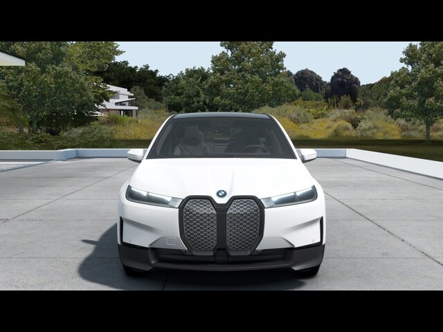 2025 Bmw iX photo 3