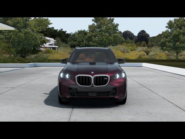 2025 Bmw X5 M60i photo 4