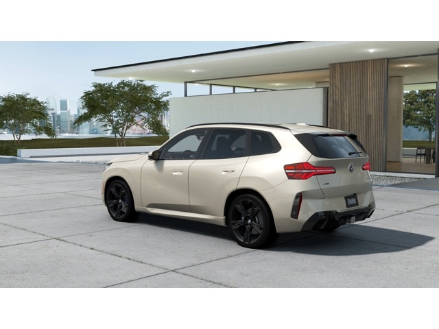 2025 BMW X3 30 - Photo 34