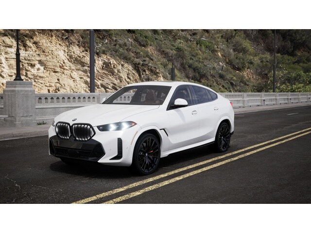 2026 BMW X6