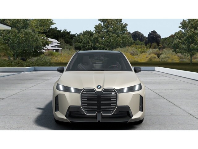 2026 Bmw iX photo 2