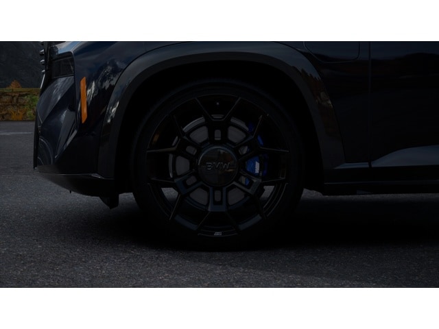 2026 BMW XM Base - Photo 30