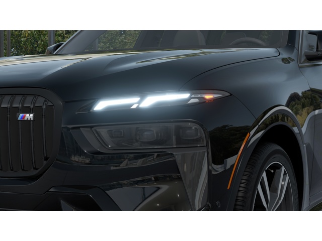2027 BMW X7, photo 6 of 12