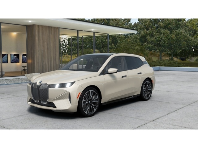 2026 BMW iX xDrive60's photo