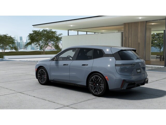 2026 Bmw iX photo 2