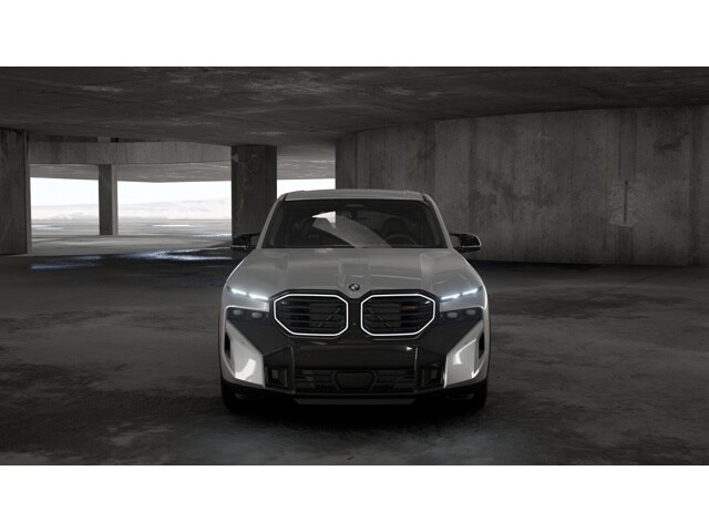 2026 BMW XM Base - Photo 43
