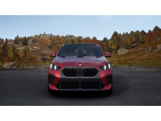 2025 Bmw X2 xDrive28i photo 3