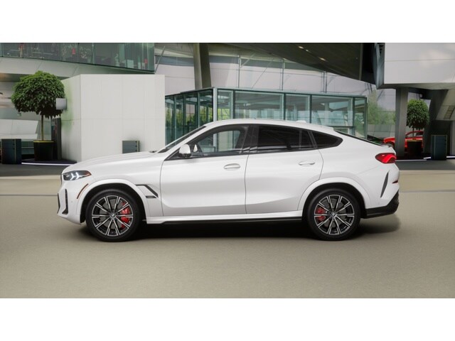 2026 Bmw X6 photo 4