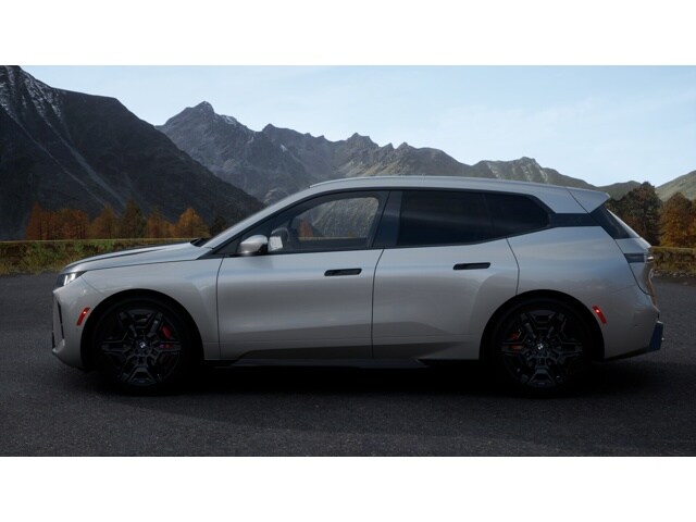 2026 Bmw iX photo 4