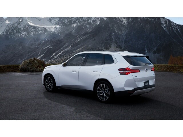 2025 Bmw X3 30x Drive photo 2