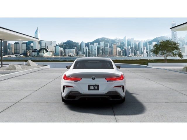 2026 BMW 8 Series M850i - Photo 40