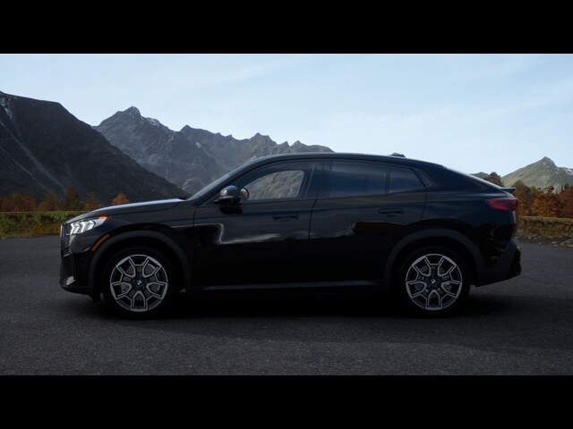 2025 Bmw X2 xDrive28i photo 3